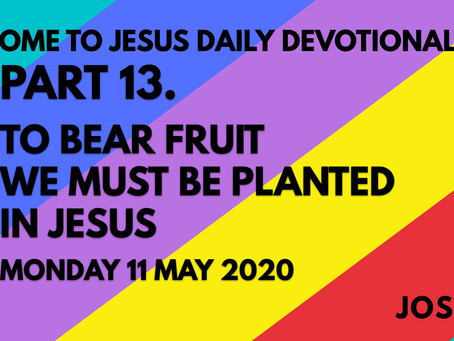 PART 13 – TO BEAR FRUIT WE MUST BE PLANTED IN JESUS (11/5/20)