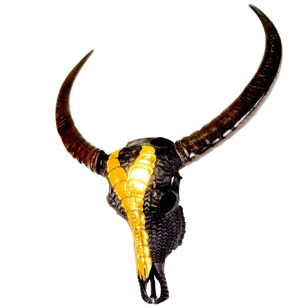 Miniaturbild: Dragonhead in Schwarz-Gold