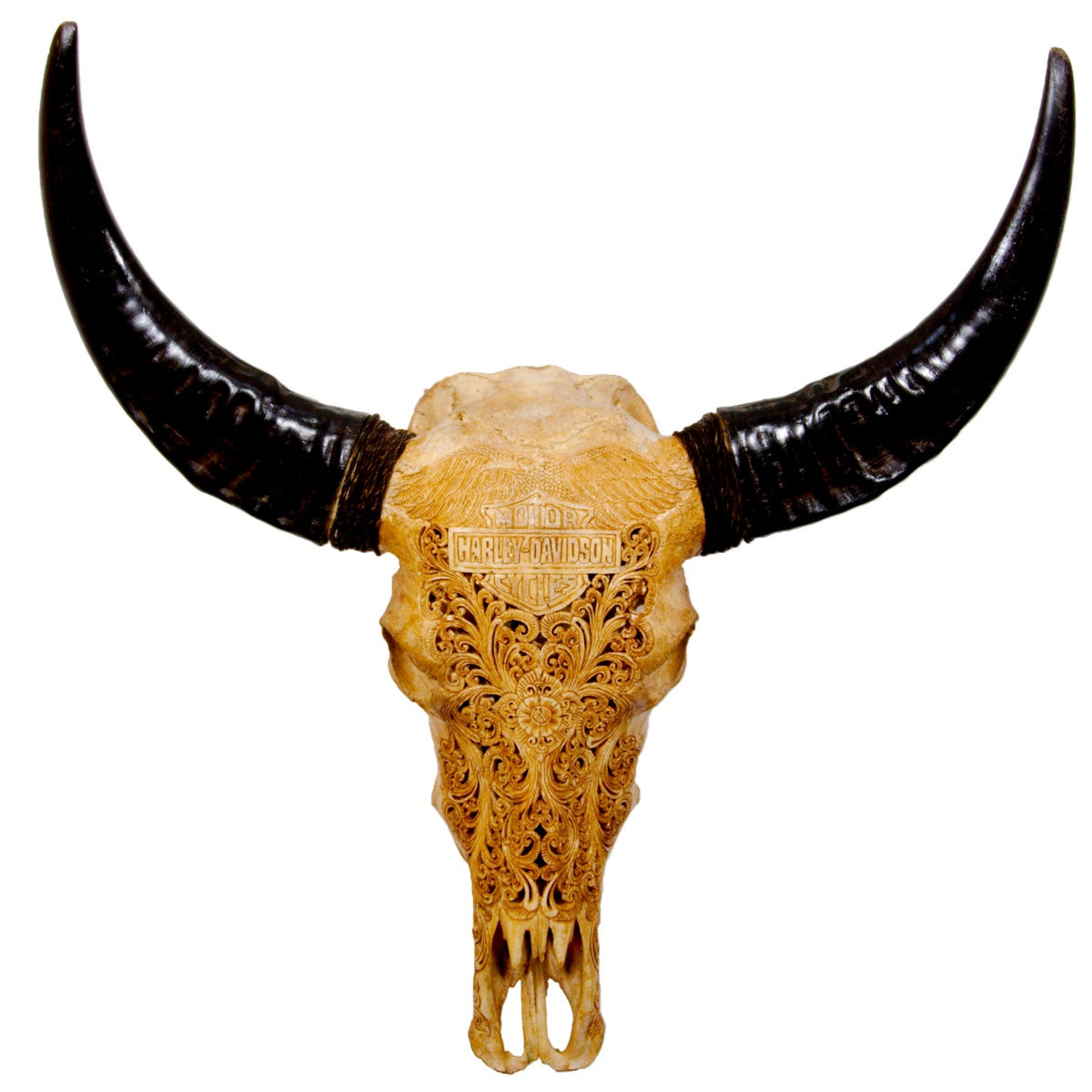 MC Harley in Antique