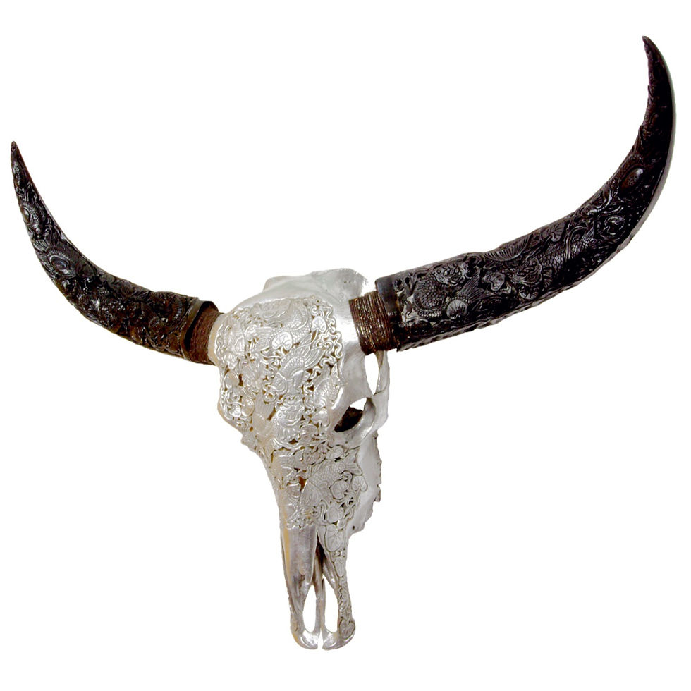 Miniaturbild: Koi in Silber