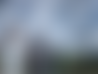 A bride and groom holding hands while walking in an Adirondack field with their bridal party behind them in early summer