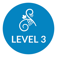 Copy of CGS icons.png