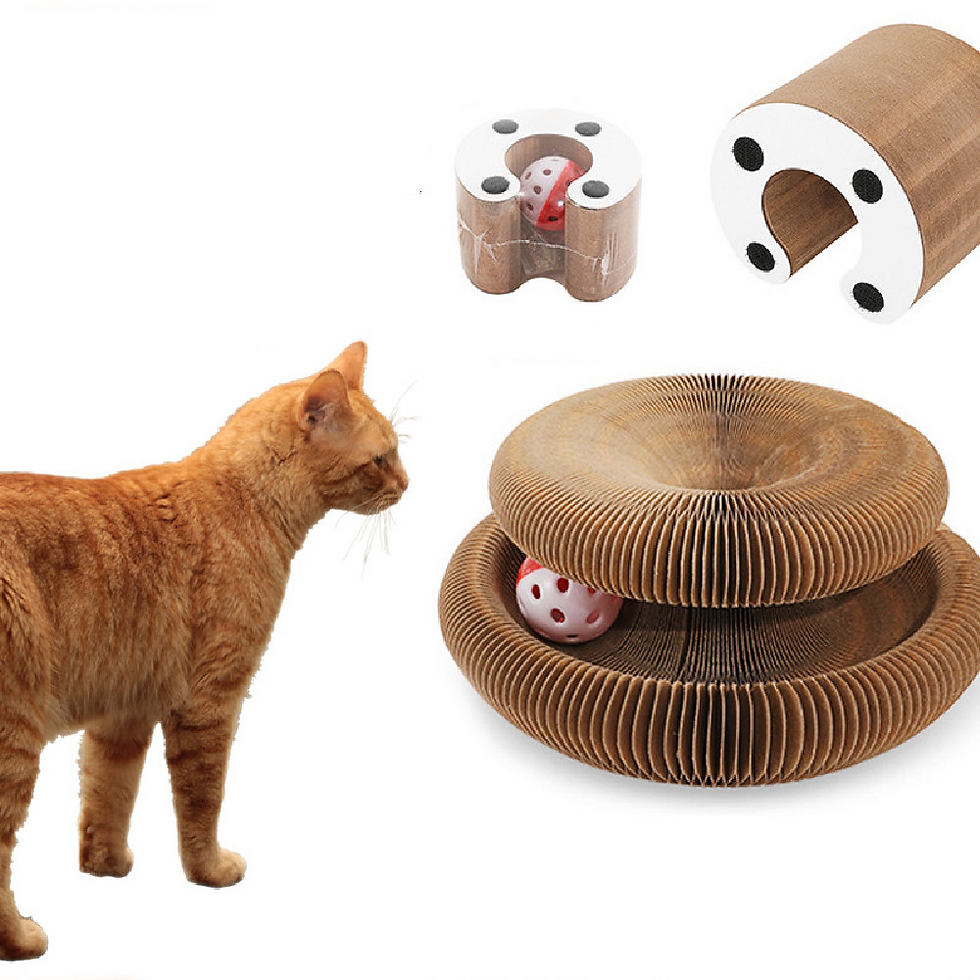 Thumbnail: Magic Organ Cat Scratcher