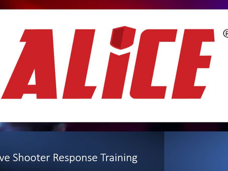 ALICE Training at CHS