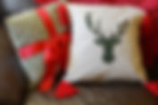 Christmas Cushion