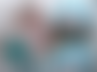 Dog Christmas Stocking and Cushion