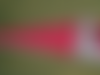 Scissor Holder Pouch