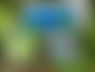 Father's Day Velcro Wallet