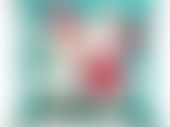 Christmas Star Cushion