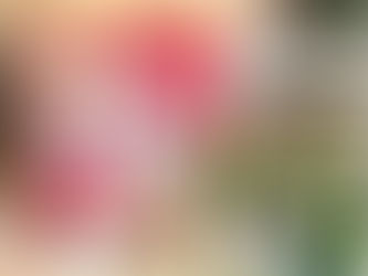 Kissing Bunnies Quilted Cushion