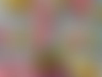 Peter Rabbit pencil case