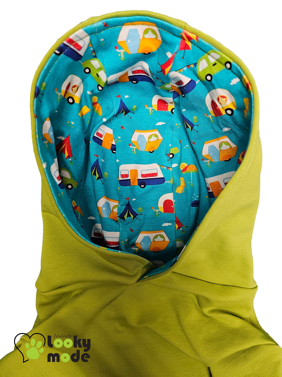 Miniature : Hoodie pour chien couleur lime thème Camping de Looky Mode