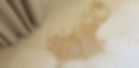 bodily-fluids-cleaning.jpg