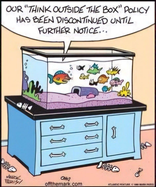 cartoon: courtesy