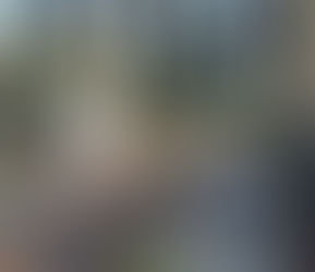 Makeup and Hairdo - Janice 彩妆与发型 - Janice