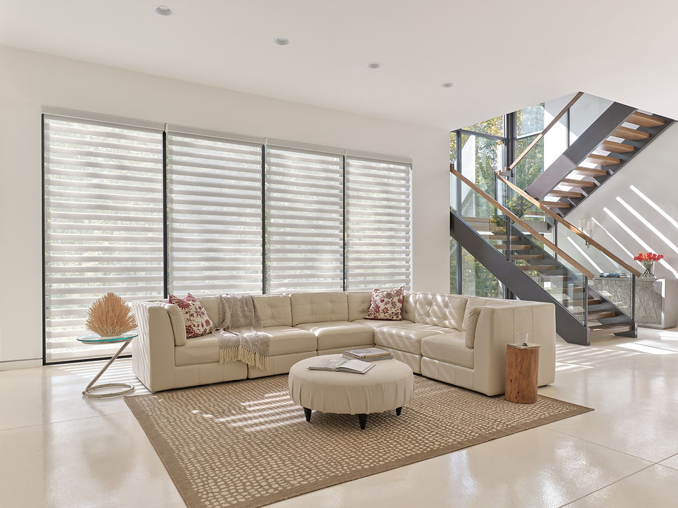 Designer Banded Shades (1).jpg