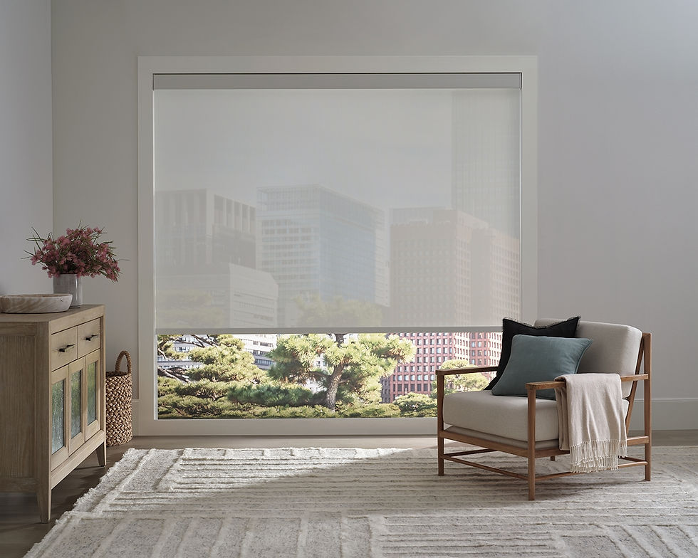 Designer Screen Shades (1).jpg