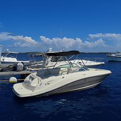 Sea Ray 260 - 5hrs $12,000