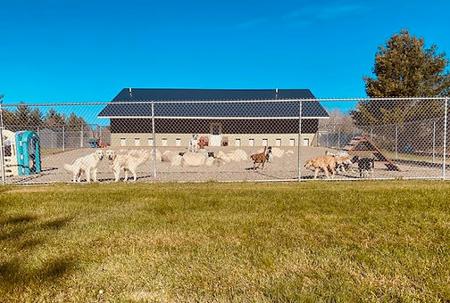 outside lodge pic 1.jpg
