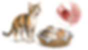 Eclampsia (Milk Fever) in Cats | Adler Veterinary Hospital