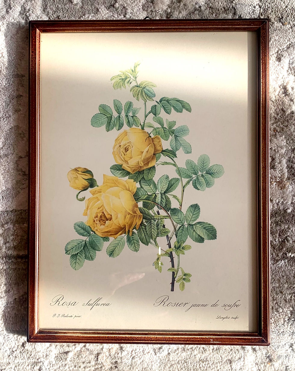 Miniaturbild: 4er Set Rosen Bilder