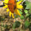 Thumbnail: Common Sunflower Seed, Helianthus annuus