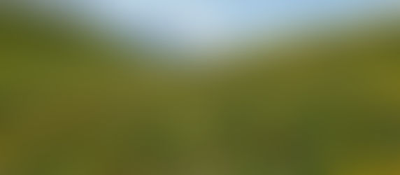 15 Energizing Quotes for Hiking and Nature Enthusiasts