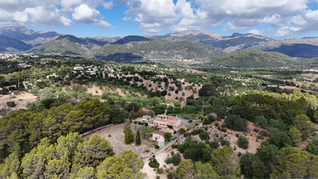 Avoid common legal issues when purchasing property in Mallorca
