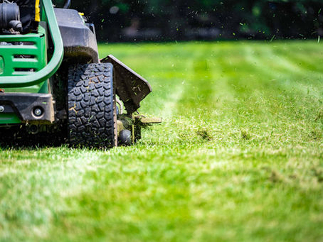 Seasonal Commercial Landscaping Checklist: What to Do and When