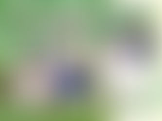 春休みにおやこでおでかけ