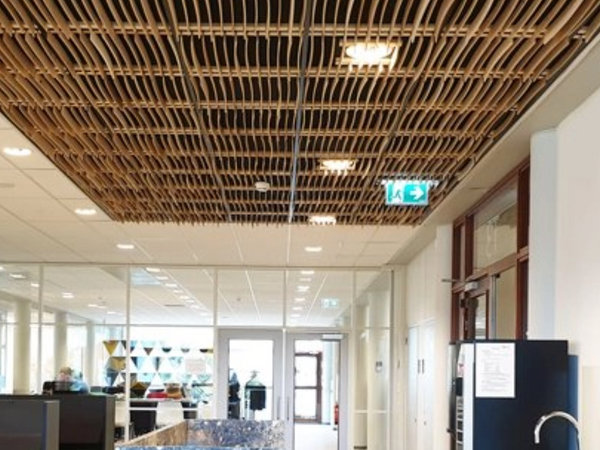 Project van Blossom architecture, foto 3
