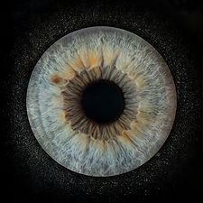 IRIS PHOTO ELBEUF 76 - Photo20001.jpg