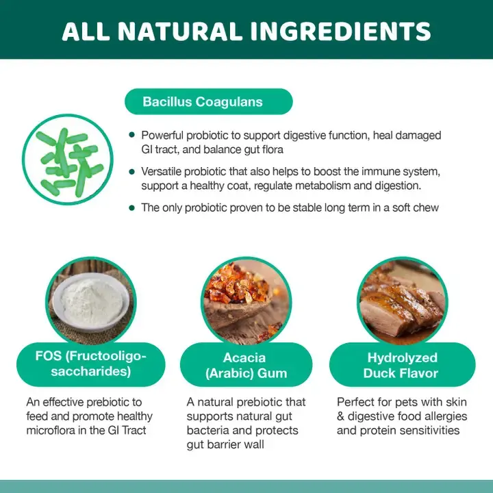 Thumbnail: Wellnergy Pets Probiotic Supplement For Dogs and Cats