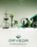 Maison Orveda Paris- Where Tradition Meets Innovation.Nestled in Place Saint-Sulpice, Mais