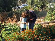 main volunteering picture.jpeg