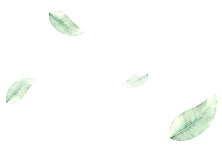 167-1675826_png-green-leaves-leaf-png-im