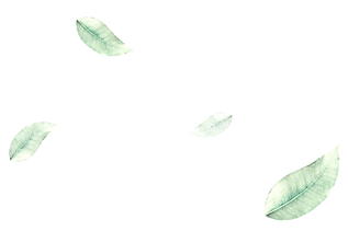 167-1675826_png-green-leaves-leaf-png-im