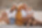 family-with-son-daughter-sitting-sand.jpg