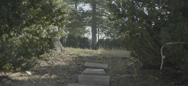 Secret Garden 2.png