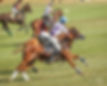 USPASportsmanshipFinal2024_EHedley-18.jpg