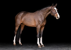PF's Nubia