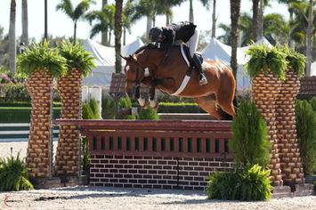 Ryan Pedigo Sport Horse Champions