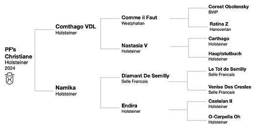 Christiane_pedigree.png