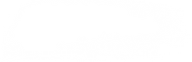 White paint stroke.png