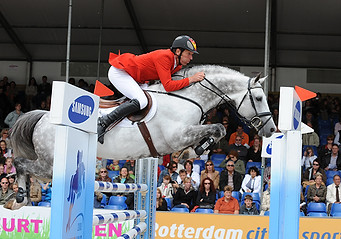 Calido I Stallion