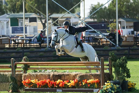 Ryan Pedigo Sport Horses