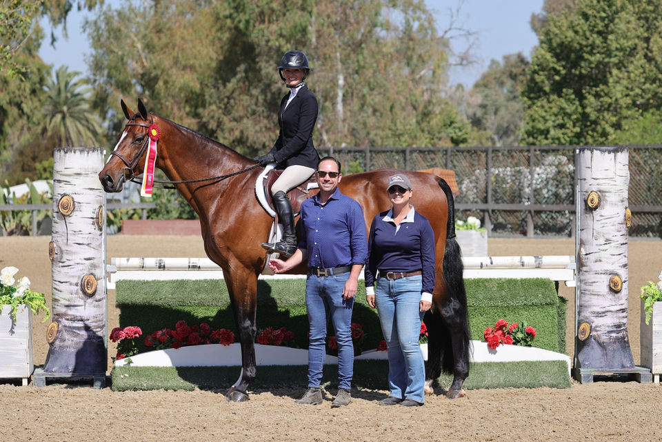 Ryan Pedigo Sport Horses