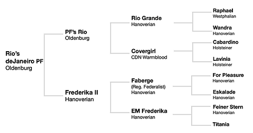 Pedigree Rio's de Janeiro