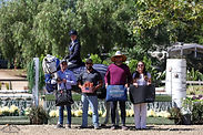 b7d5e8d4-3fcf-4b29-adb7-459f5587be88.JPG