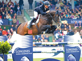 Ryan Pedigo Sport Horse Stallions